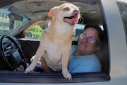 Sherri Thompson and her chihuahua, Kiwani, wait in Thompson's truck for a cooling center to open in East Portland. Thompson lives in her vehicle, which can't constantly run air conditioning, and says county cooling shelters offer a much needed respite over hot summers.