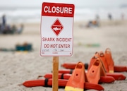 A 46-year-old swimmer was attacked by a shark and suffered “significant” injuries prompting officials to close a 2-mile stretch of beach to swimmers and surfers as a precaution on Sunday, June 2, 2024, in Del Mar, California. (K.C. Alfred/The San Diego Union-Tribune/TNS)