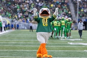 The Duck mascot dances on the field during Oregon’s annual spring game at Autzen Stadium in Eugene on Saturday, April 27, 2024. 