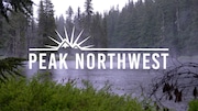 Mist rises from a lake found deep in the wilderness of the Gifford Pinchot National Forest in southwest Washington.