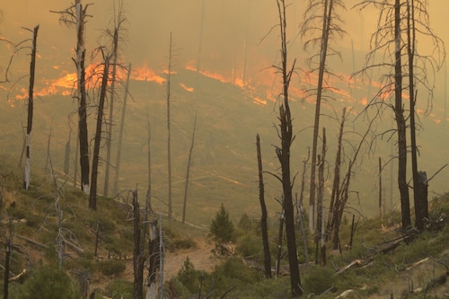 Falls fire destroys buildings in eastern Oregon; 10 other large wildfires burn throughout the state