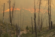 The Falls fire has grown to 91,269 acres in size since it started last Wednesday.