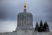 Trees heavily damaged on the grounds of the Oregon State Capitol Thursday, Feb. 25. 2021. The damage came after a snow and ice storm hit the area in mid-February. Mark Graves/The Oregonian