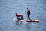 Portland will see temperatures in the high 80s Monday, then nearly 100 by Tuesday. Oregonian file photo. 